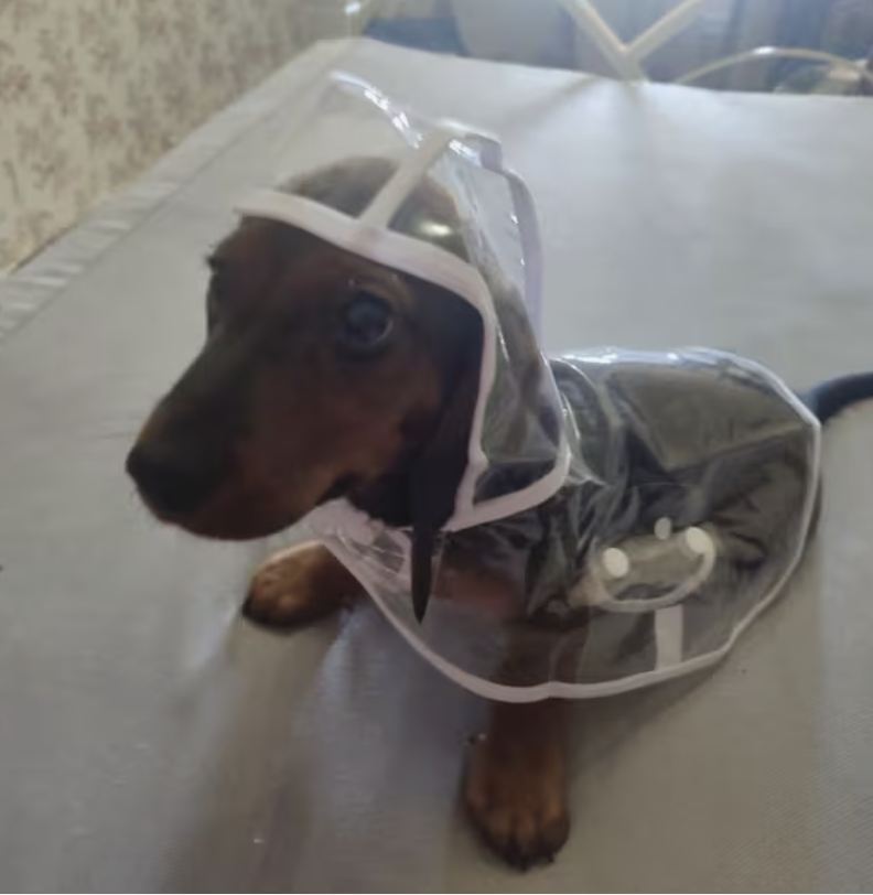 Фото від покупця: Тетяна